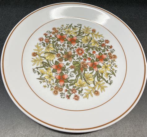 Corelle indian summer - All in pretty decent shape the last picture shows a little chip / rough place on the edge of one plate. Condition shown the best I can in the pictures please review them and if you have any questions please ask